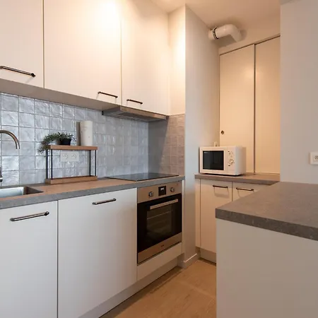 On Belgian Coast With Sea Views Appartement *